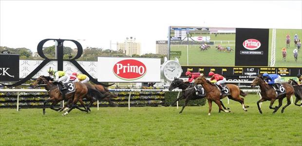Divine Prophet - Royal Randwick - 20/08/2016